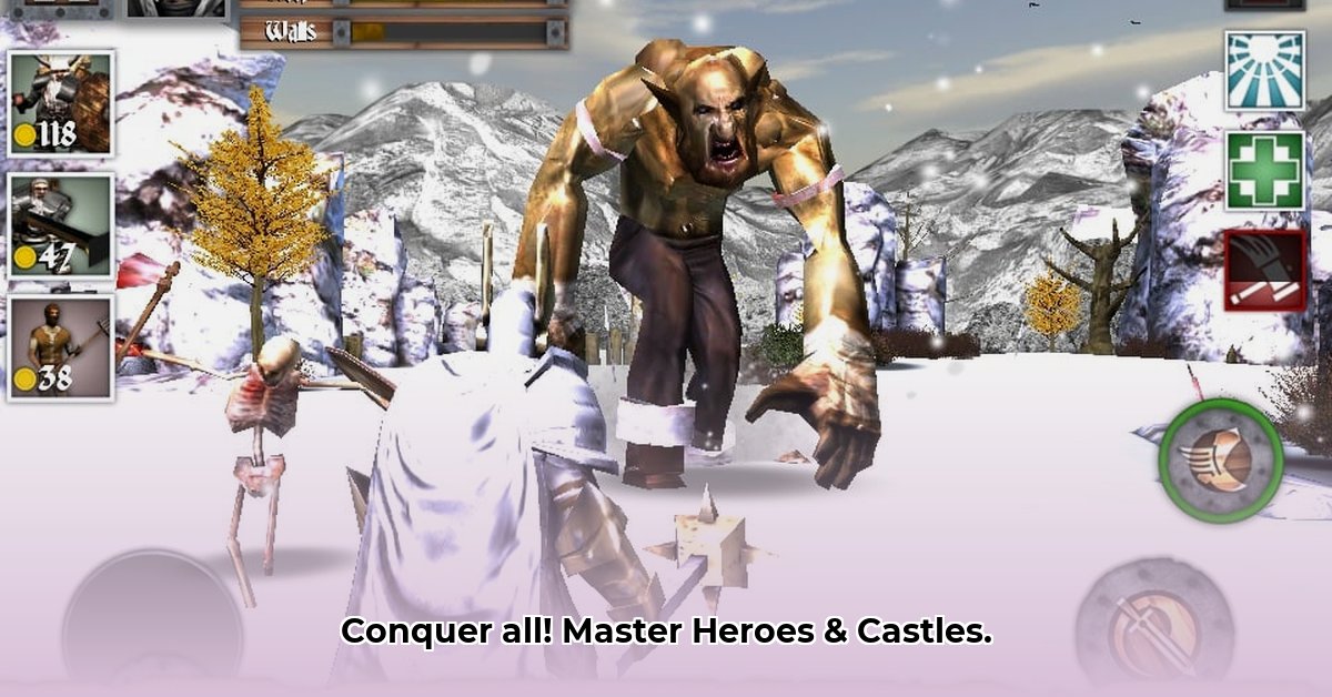 heroes-and-castles